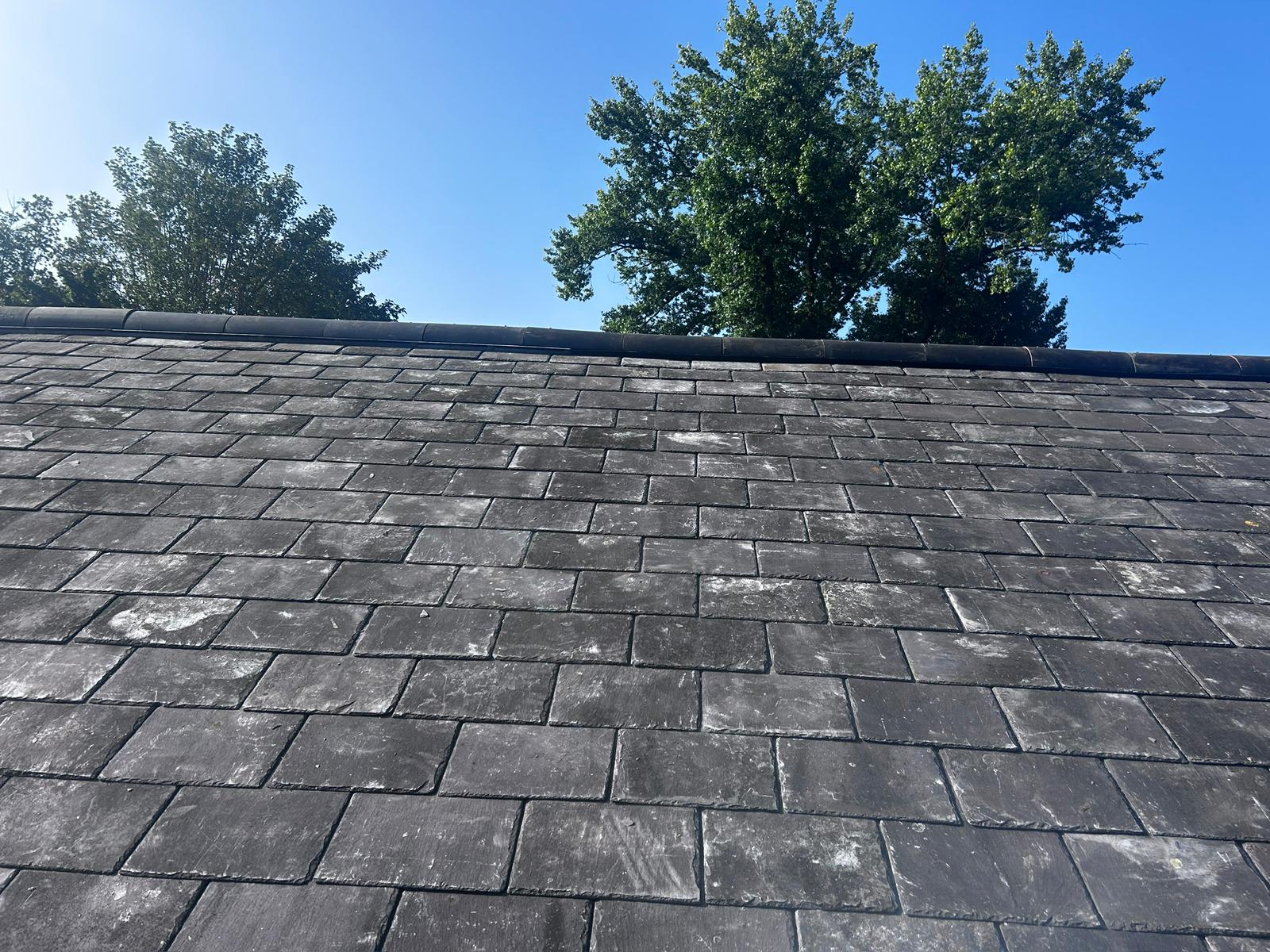 PHOTO-2025-10-30-09-16-31 2